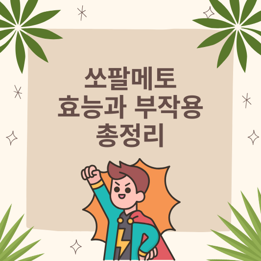 쏘팔메토 효능과 부작용 총정리(+고르는 방법까지)