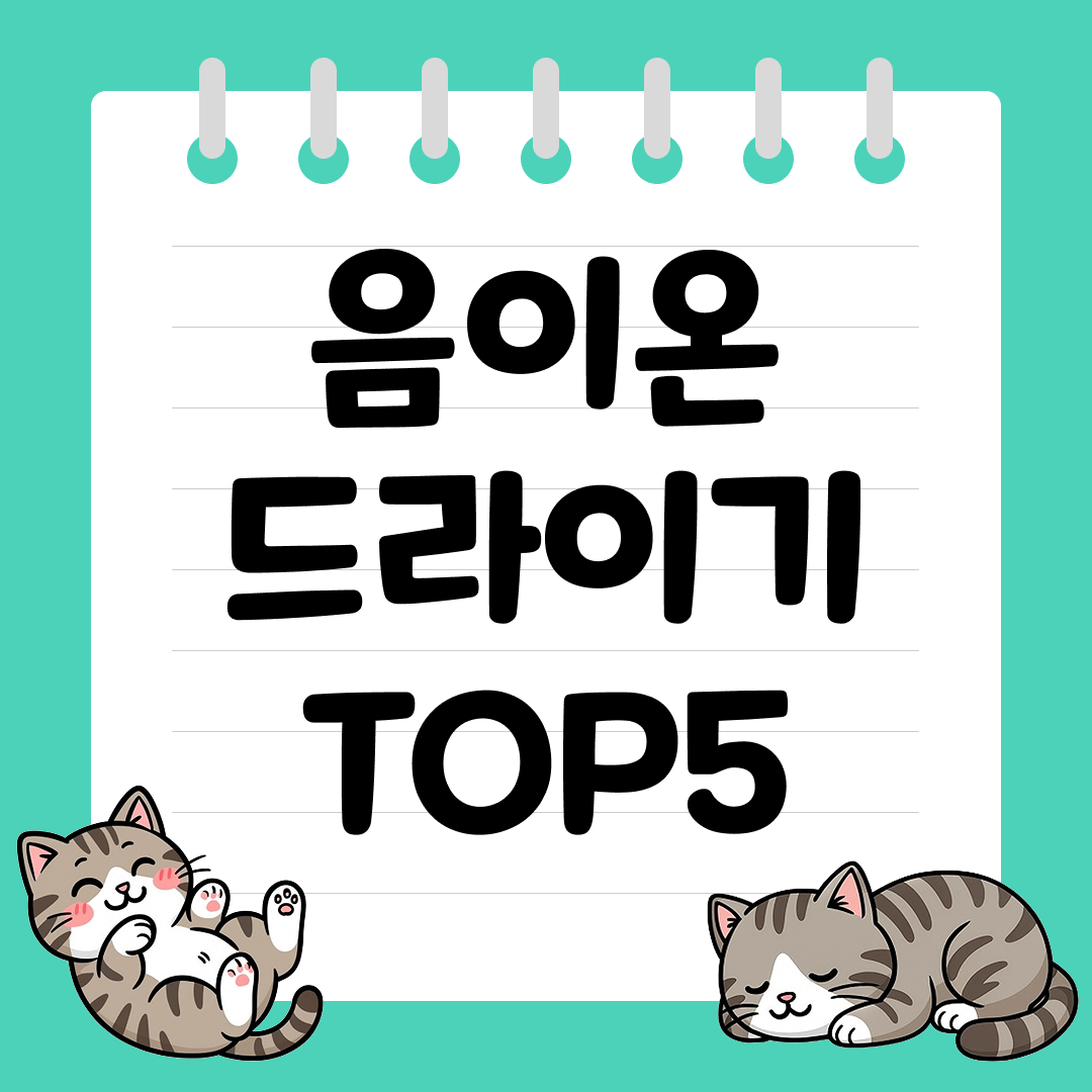 모발 손상 없이 윤기나는 머릿결을 위한 음이온 드라이기 추천 순위 TOP5