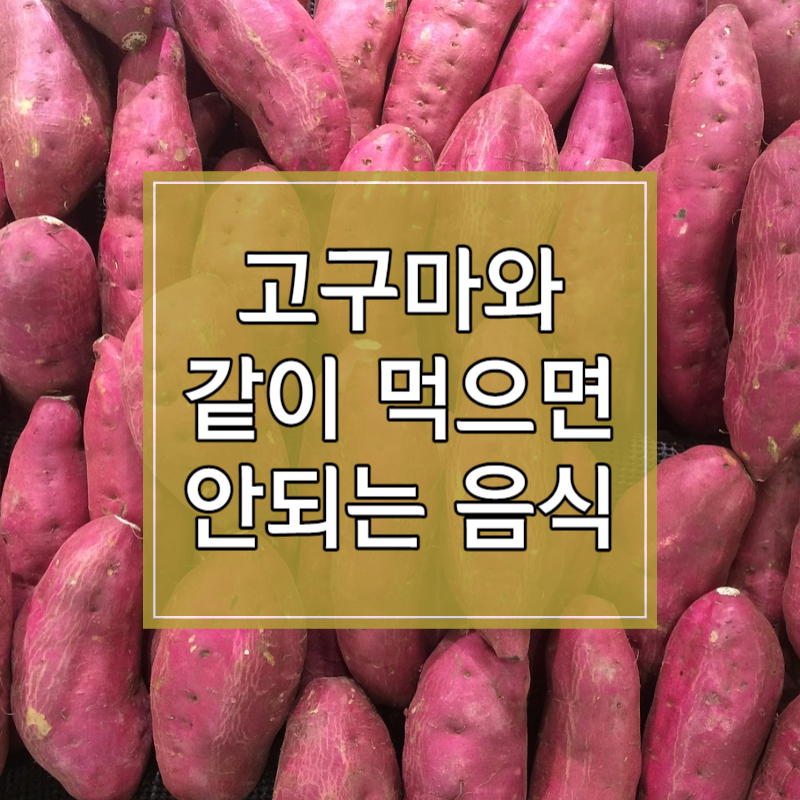 고구마와 같이 먹으면 안되는 음식 썸네일