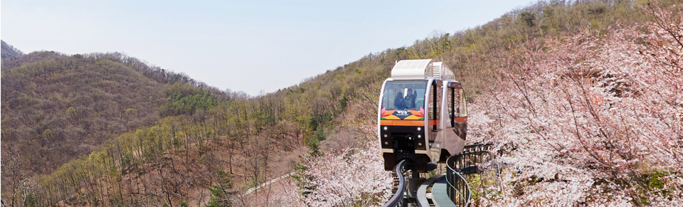 화담숲 모노레일