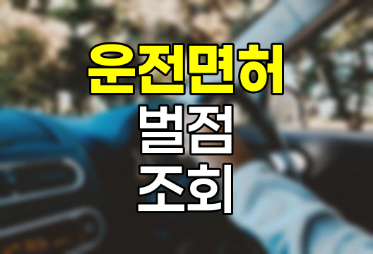 운전면허 벌점 조회 및 이의신청 완벽 가이드