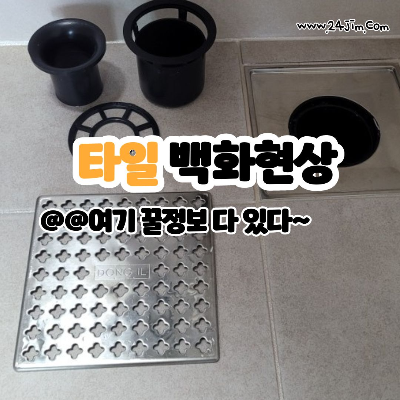타일 청소