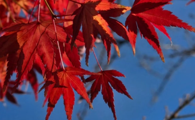 희양산 단풍 절정 시기 언제? 등산 추천 코스 ❘ 문경 가을 여행 명소