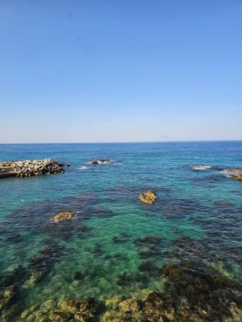 울진 가볼만한곳 베스트10 현지인 추천 필수코스_14