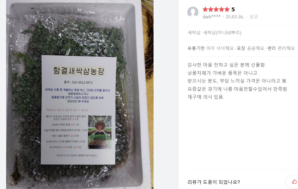 6시내고향-강원-원주-새싹삼-함결농장-함결새싹삼농장-후기