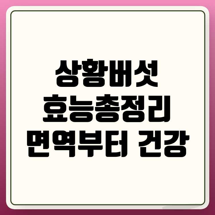 상황버섯 효능 면역력부터 건강까지 총정리