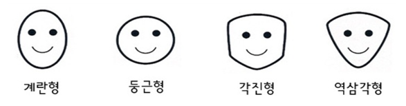얼굴형