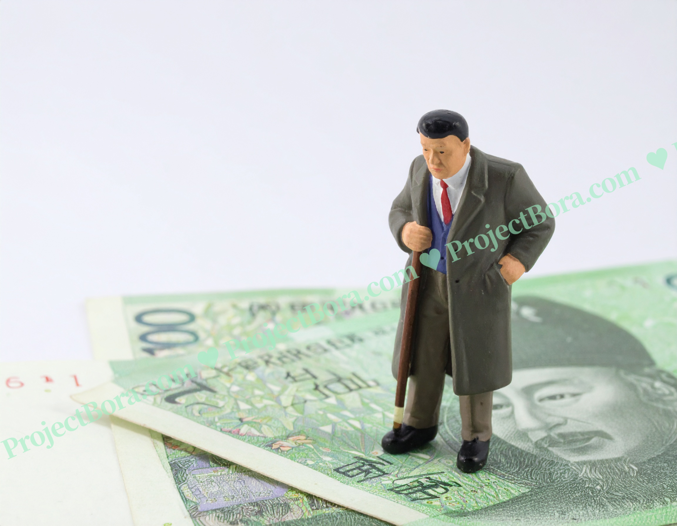 기초연금 노령연금 중복수령