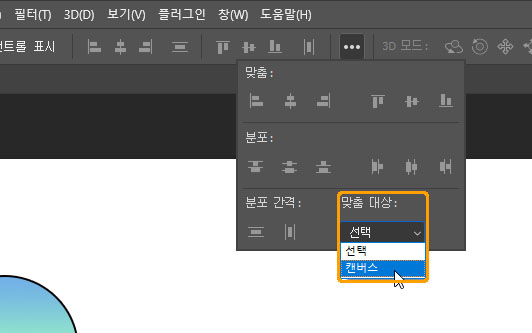 맞춤 기능의 대상 옵션