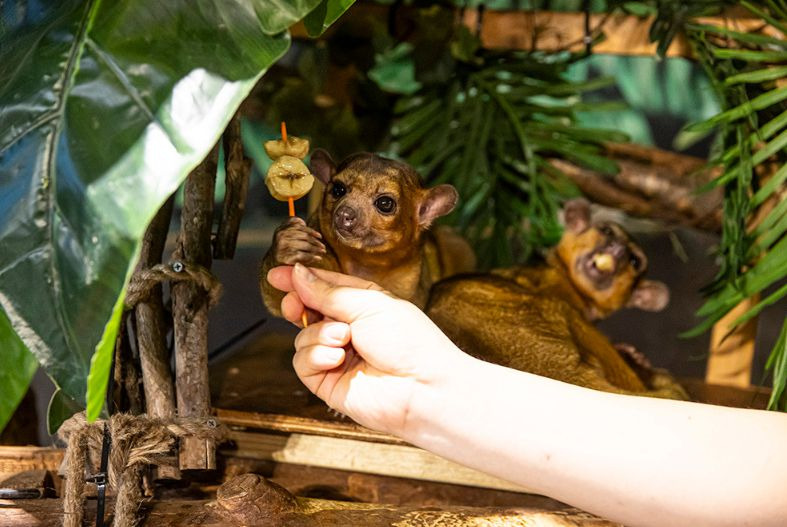 주렁주렁 동물원 경주점 (천군동)