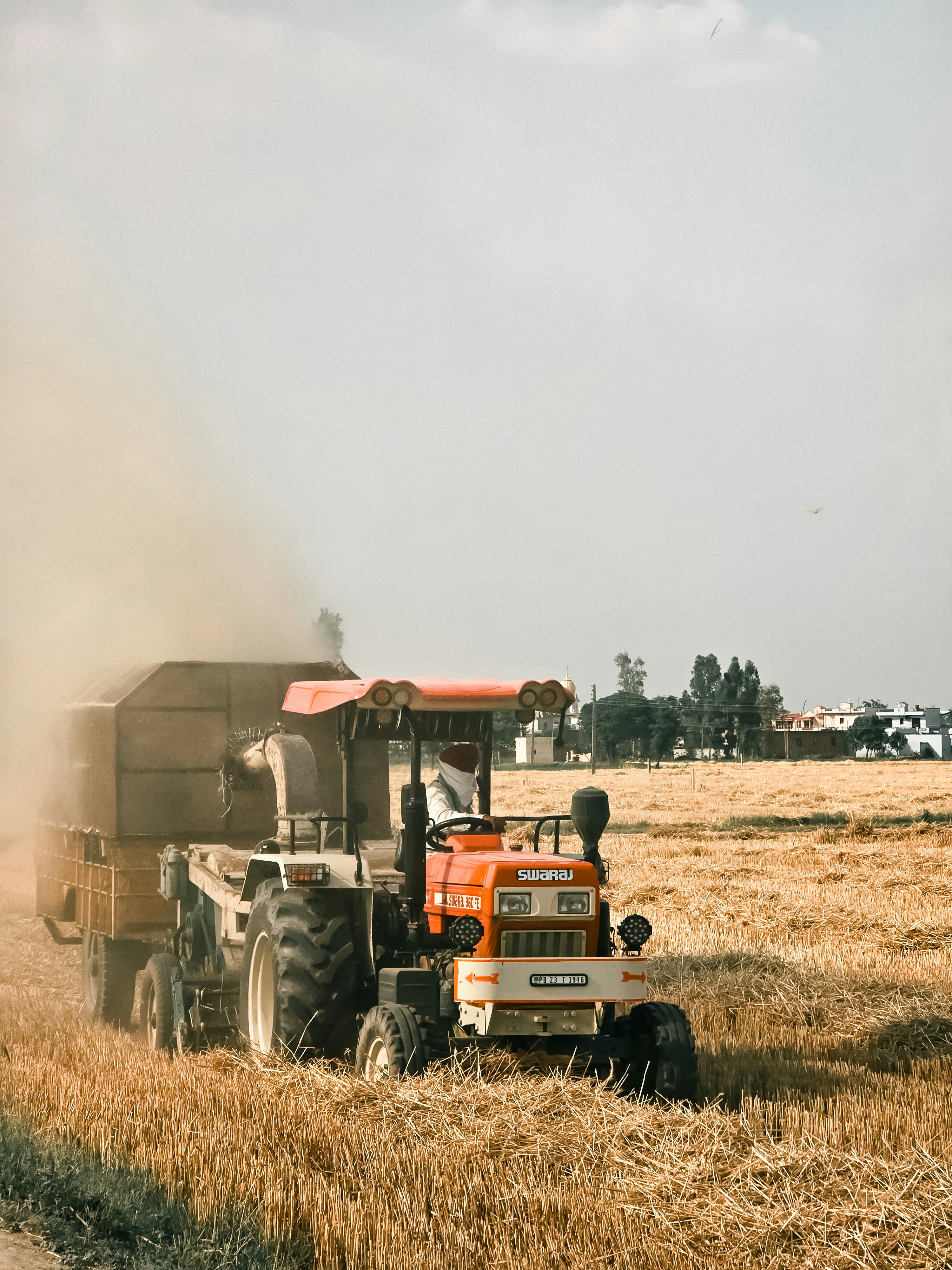 들깨 수경 재배 및 수확 시기 (+ 중부 남부 지방 수확 기계 추천)