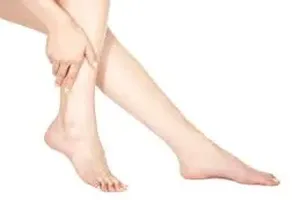 다리