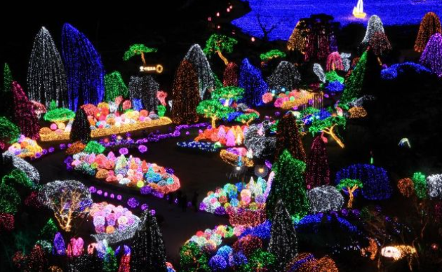 아침고요수목원 오색별빛정원전