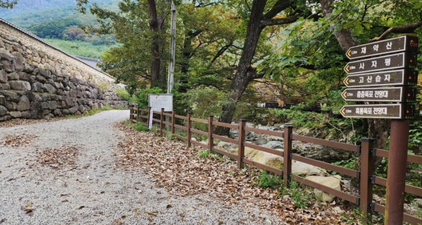 밀양 사자평 둘레길