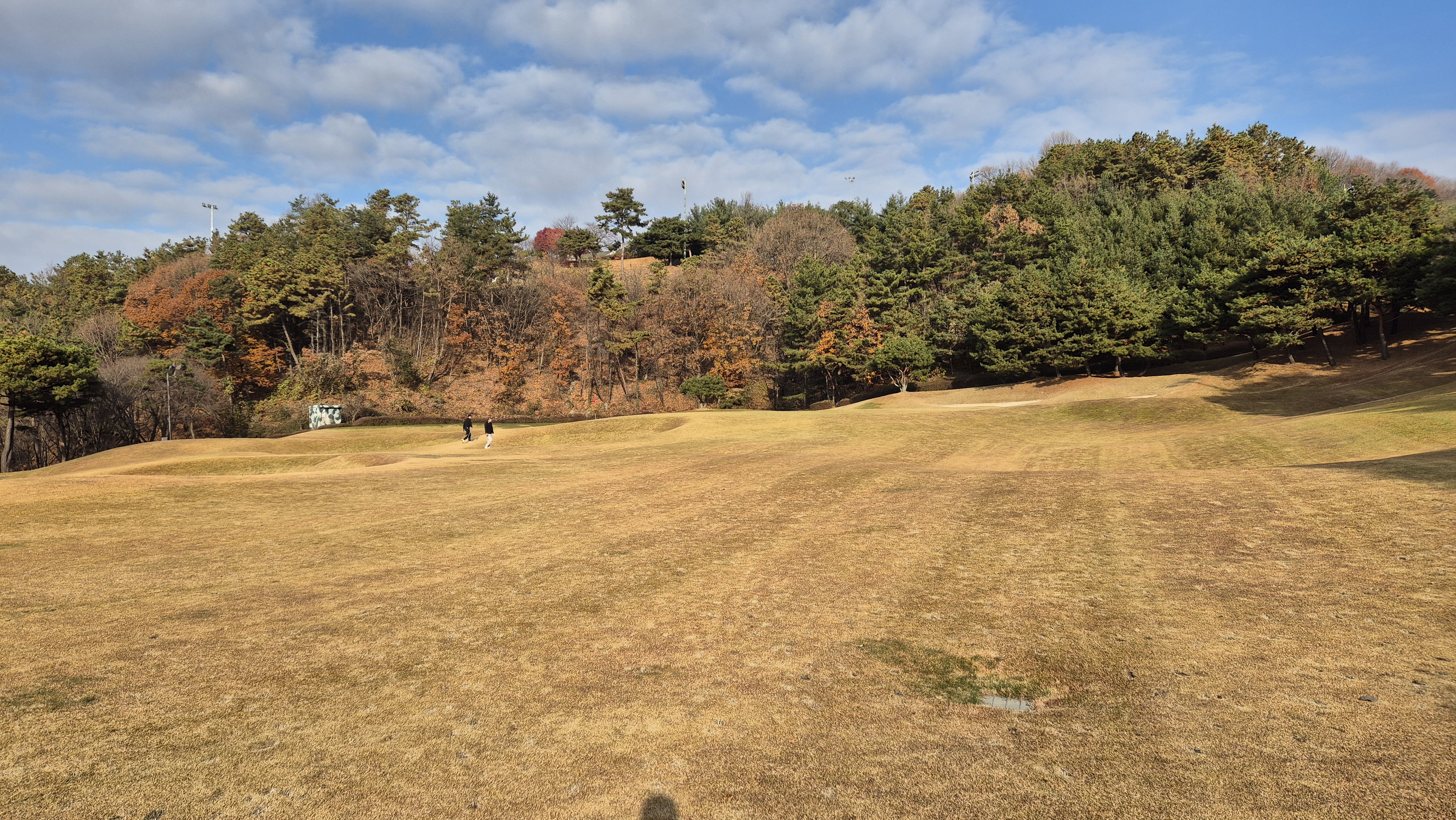 올데이 떼제베cc 가람코스 사진 및 공략 정보