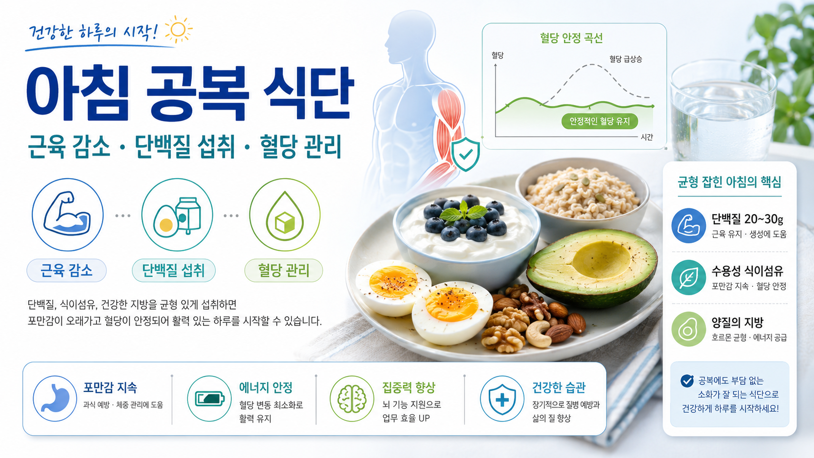 아침 공복 식단의 근육 감소, 단백질 섭취, 혈당 관리 원리를 설명하는 건강정보 이미지로 계란, 그릭요거트, 블루베리, 귀리, 견과류, 아보카도와 혈당 안정 그래프를 함께 보여주는 인포그래픽
