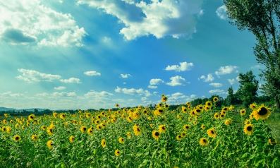 여름철 보양식 기력회복 보양식 추천