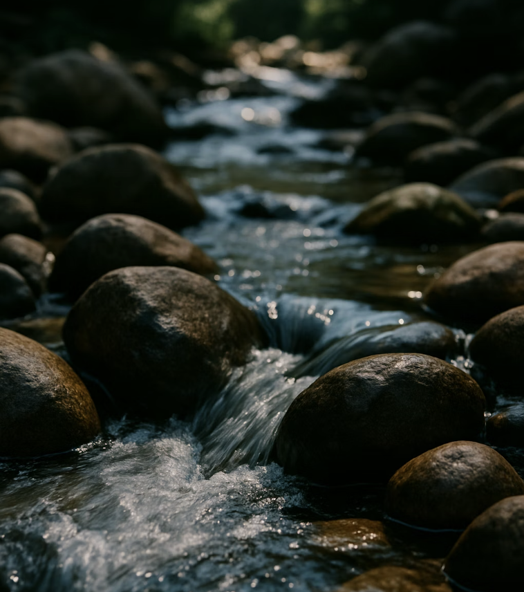 실수 둘 : 시원한 계곡 물을 잊어버리는 것