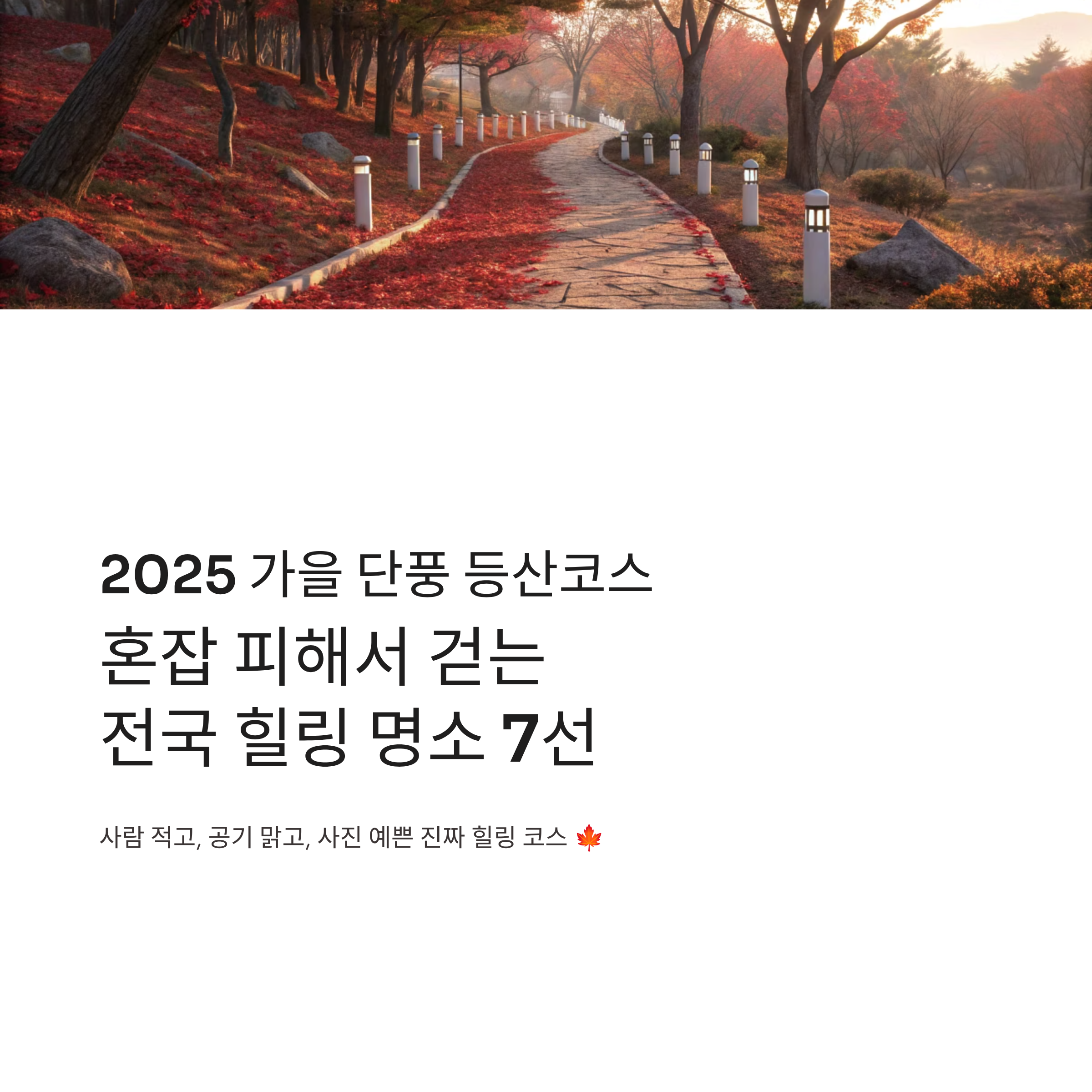 2025 가을 단풍 등산코스 추천 ❘ 혼잡 피해서 걷는 전국 힐링 명소 7선