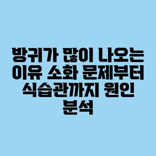 방귀가 많이 나오는 이유 소화 문제부터 식습관까지 원인 분석