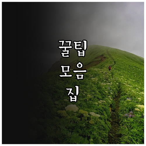 2025 화순군 청년하우스 월1만원 ..