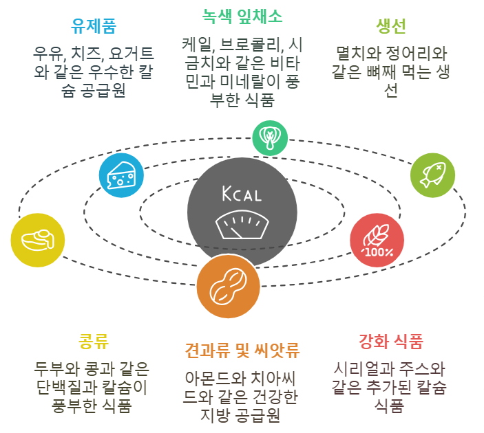 칼슘이 풍부한 음식