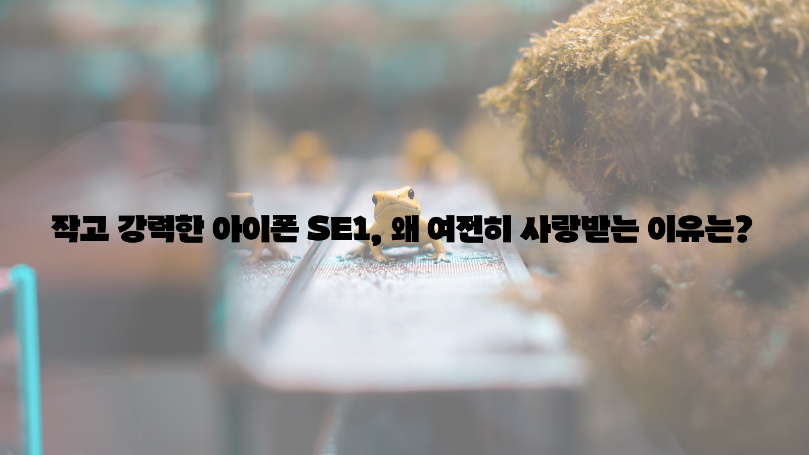 아이폰 SE1, 작고 강력한, 사랑받는 이유