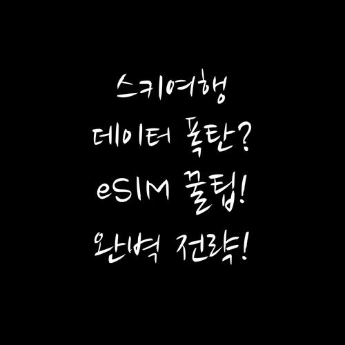 슬로프에서 SIM 분실 없는 eSIM..