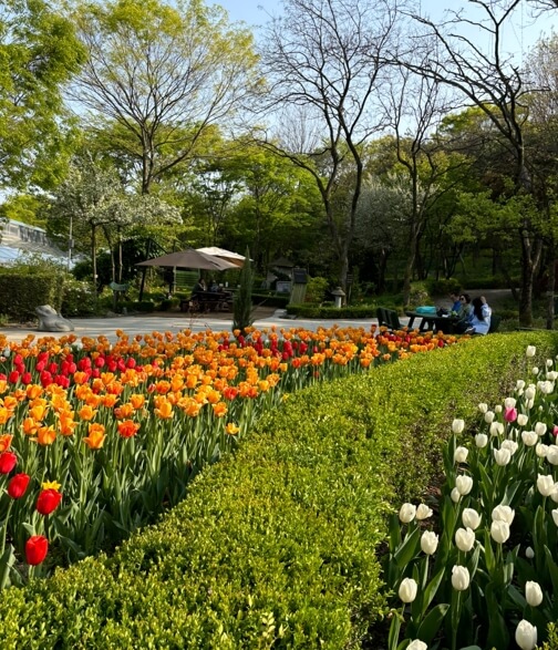 경기도-4월-꽃구경-신구대학교식물원