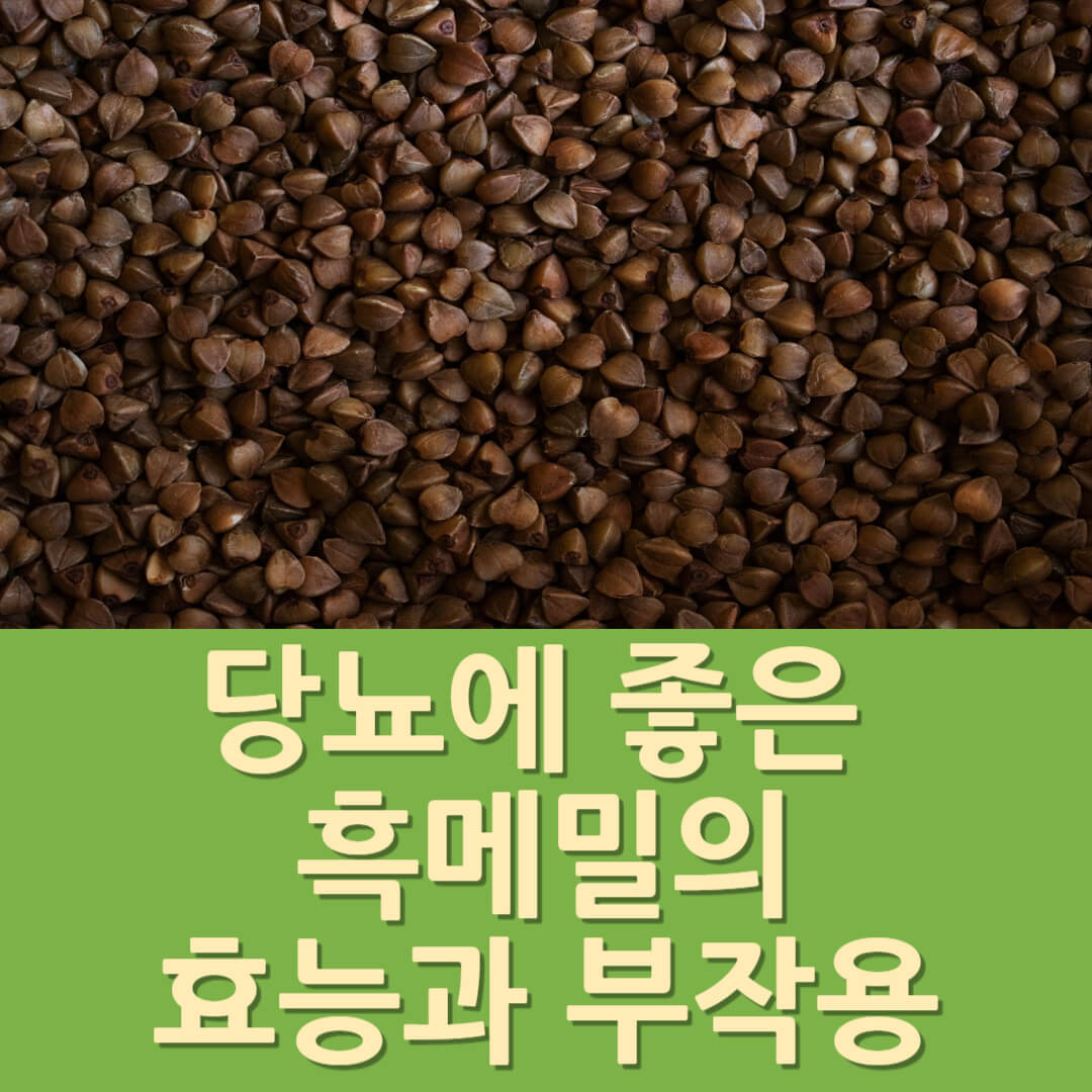당뇨에 좋은 흑메밀의 효능