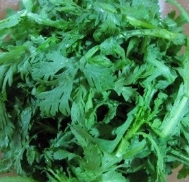 쑥갓의 효능 부작용 고르는법 칼로리 꽃