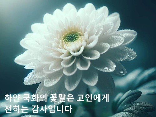 유튜버 옥슈슈 래영 장기기증