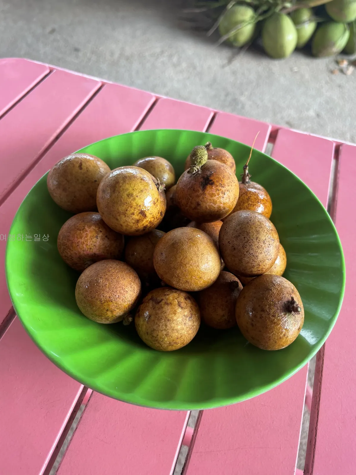 나트랑-판랑-사막투어-가족여행-눈치게임-대성공-핑크지프-모래썰매-만족후기(일정&amp;#44;경비정리)