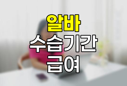 알바 수습기간의 진실, 급여와 조건 완전 해부