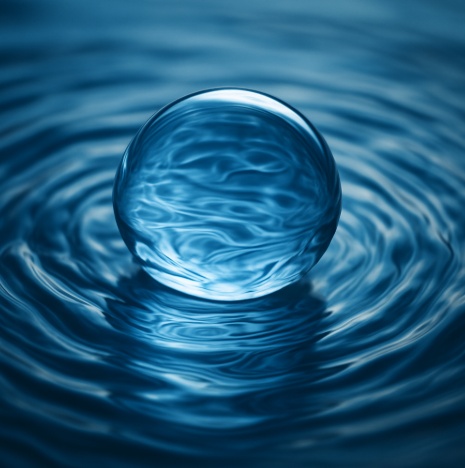 기억하는 물? 과학과 신념 사이의 물의 기억설