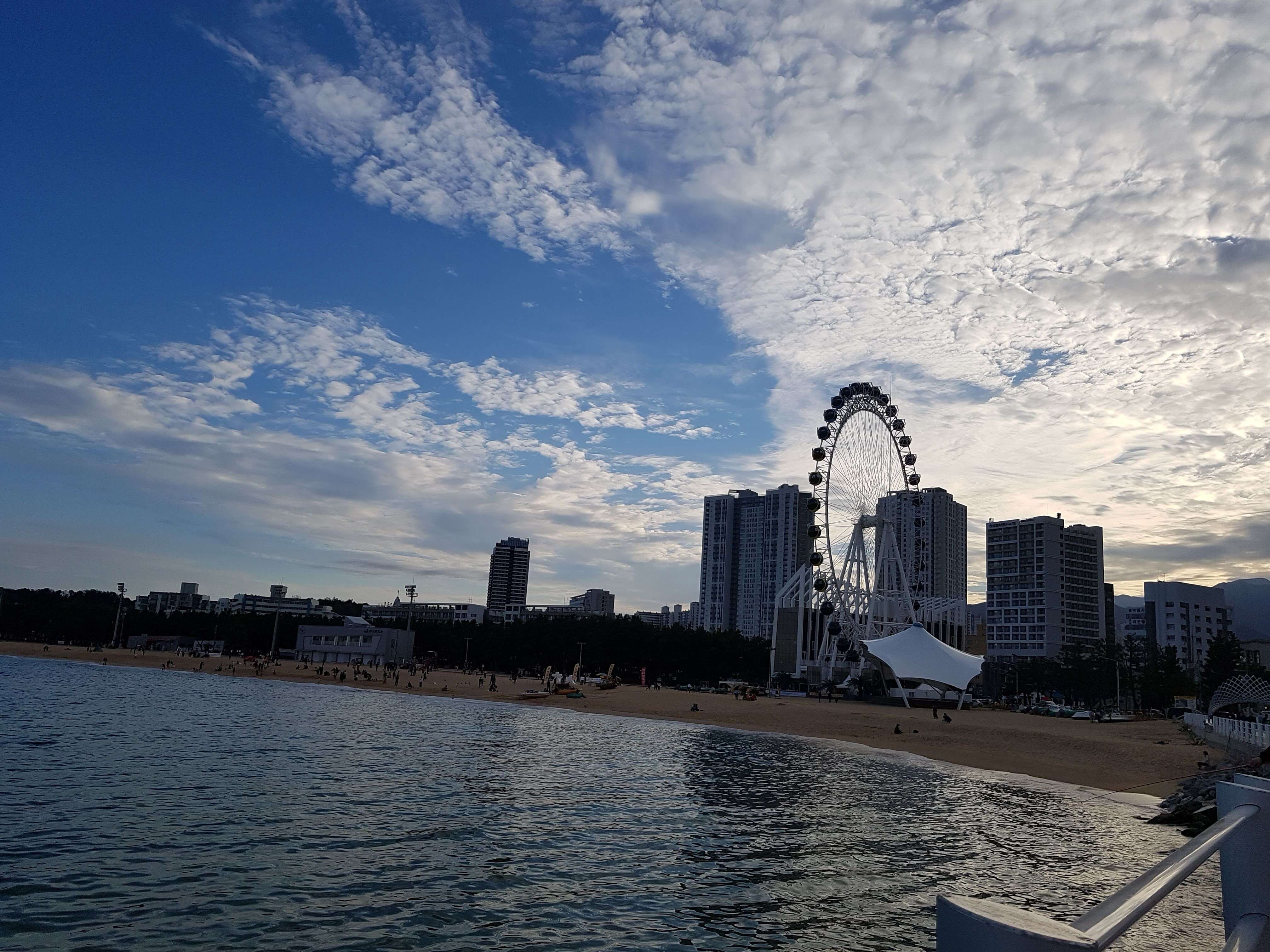 2025 동해안 해수욕장 개장일 총정리6