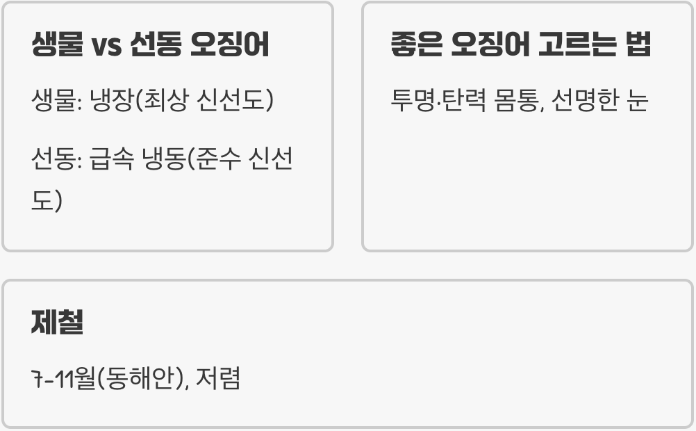 생물오징어 가격, 마트 vs 시장 vs 산지직송 어디가 제일 쌀까?