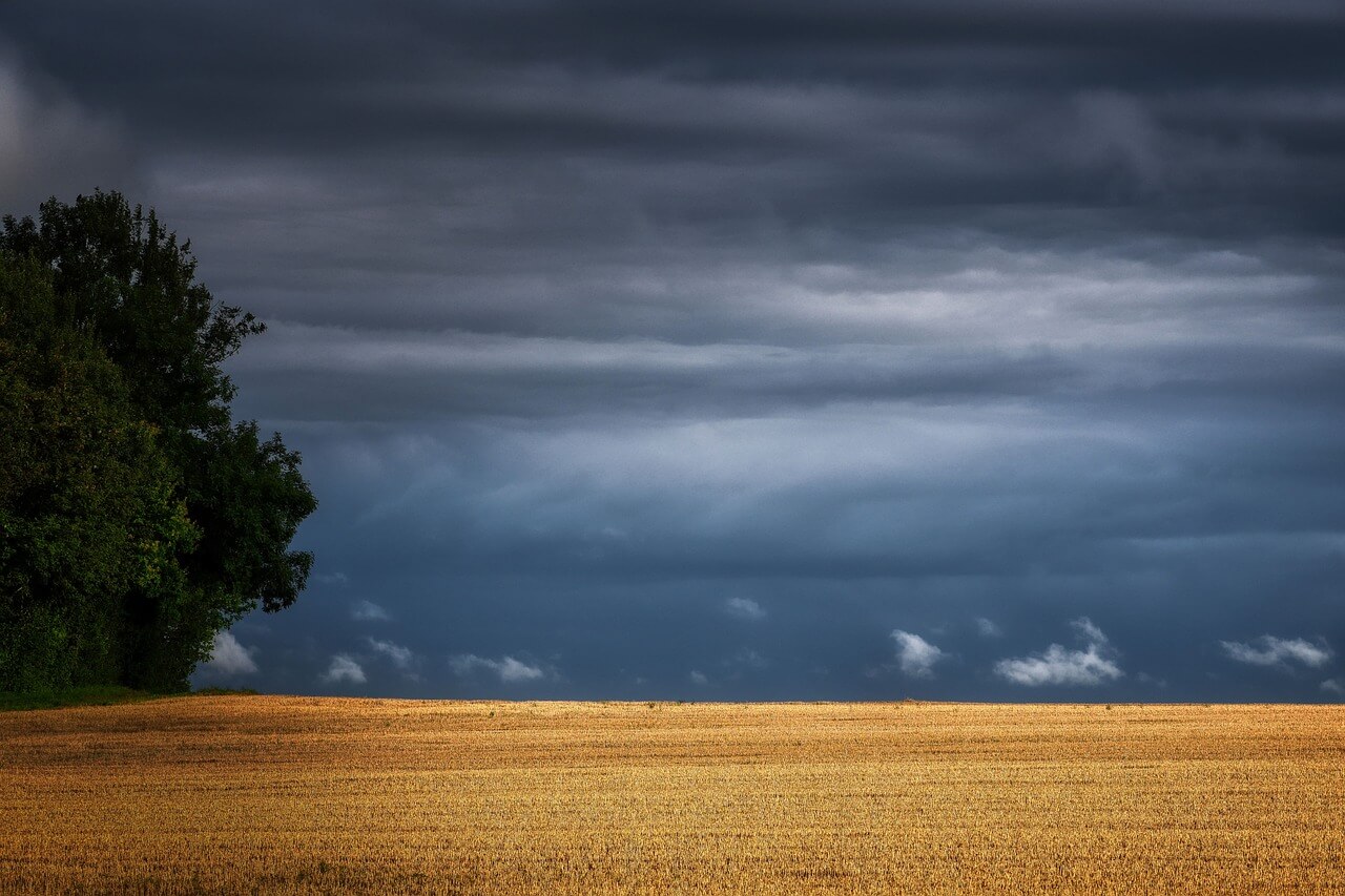 농지연금 수령 중 농지에 사고가 나면 어떻게 되나요
