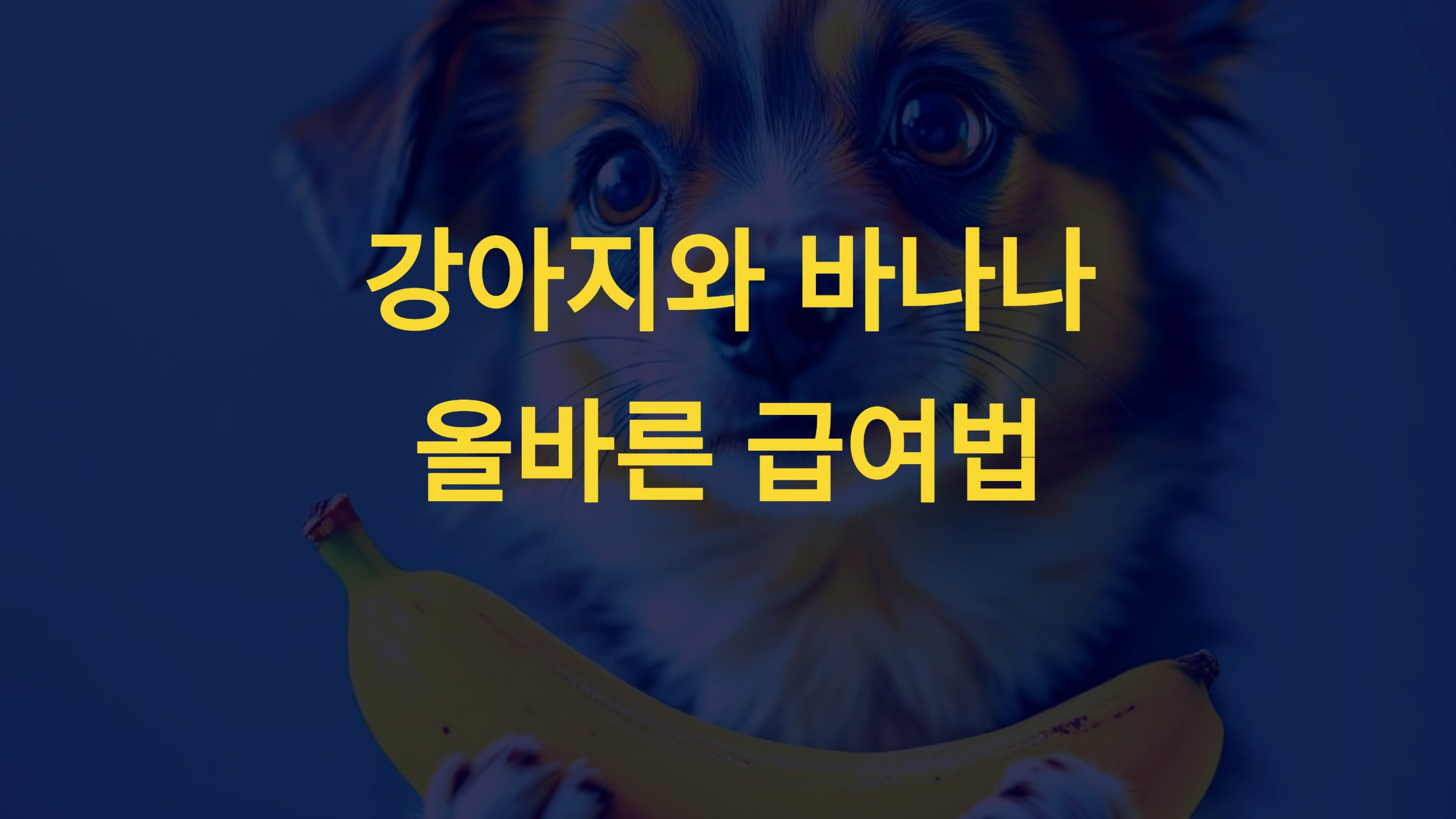 강아지가 바나나를 먹어도 될까? 올바른 급여법