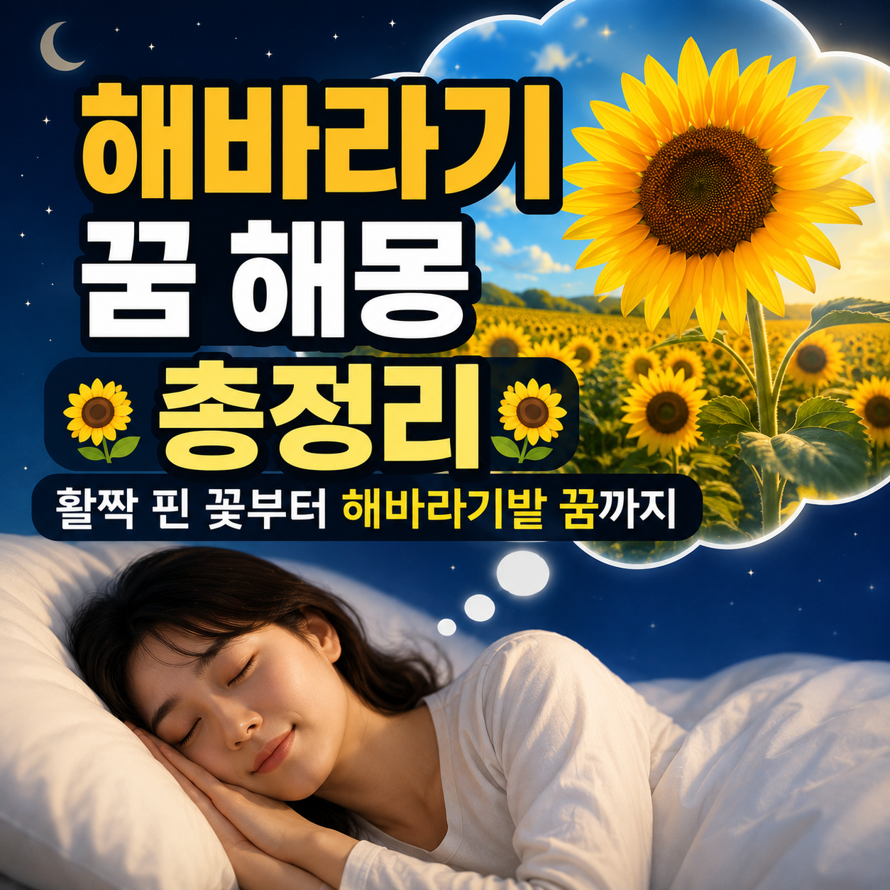 해바라기 꿈