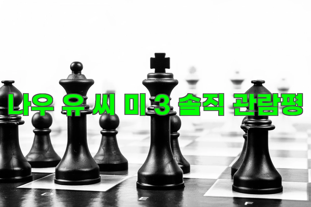 나우 유 씨 미 3 솔직 관람평