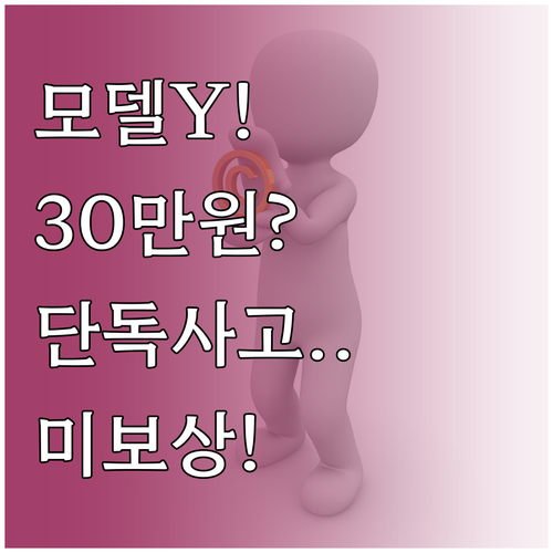 모델Y 보험료 30만원대 가능할까, ..