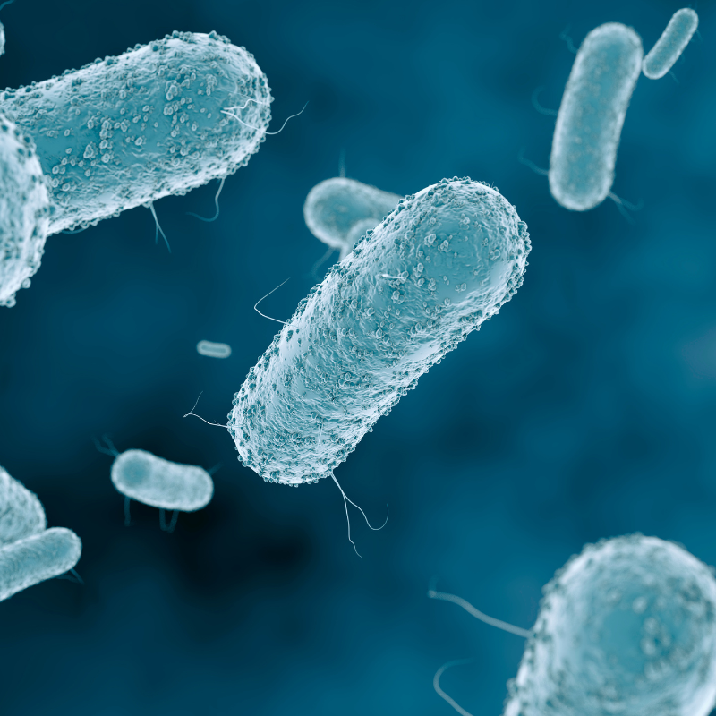 트루포뮬러 위톱 후기 리뷰 효능 효과