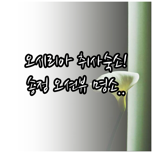 아이와 함께 가는 부산 여행 오시리아..