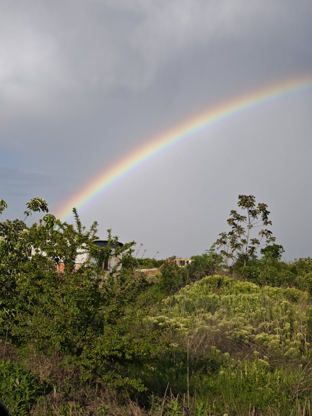 비 온 다음 무지개