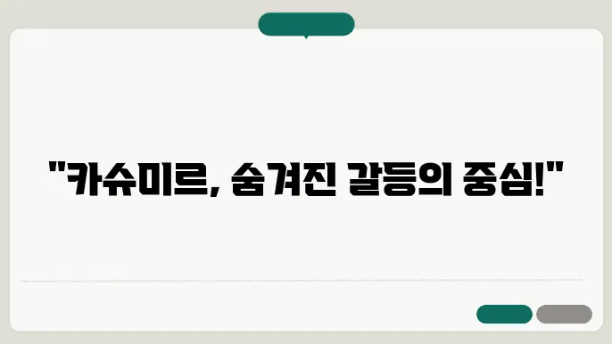 카슈미르의 현재 상황