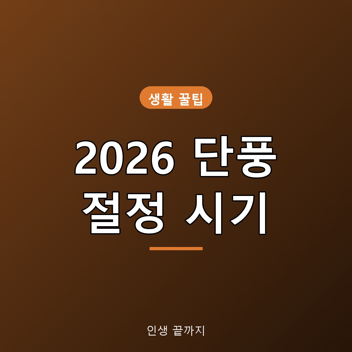 2026 단풍 절정 시기 지역별 예상일과 단풍 현황 확인 방법
