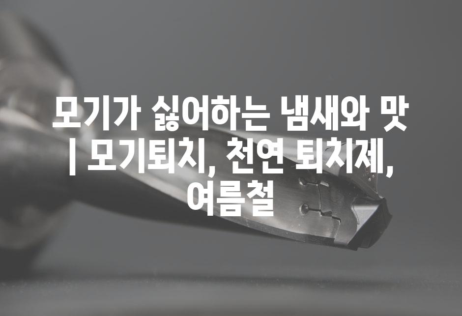 샘플 (57)