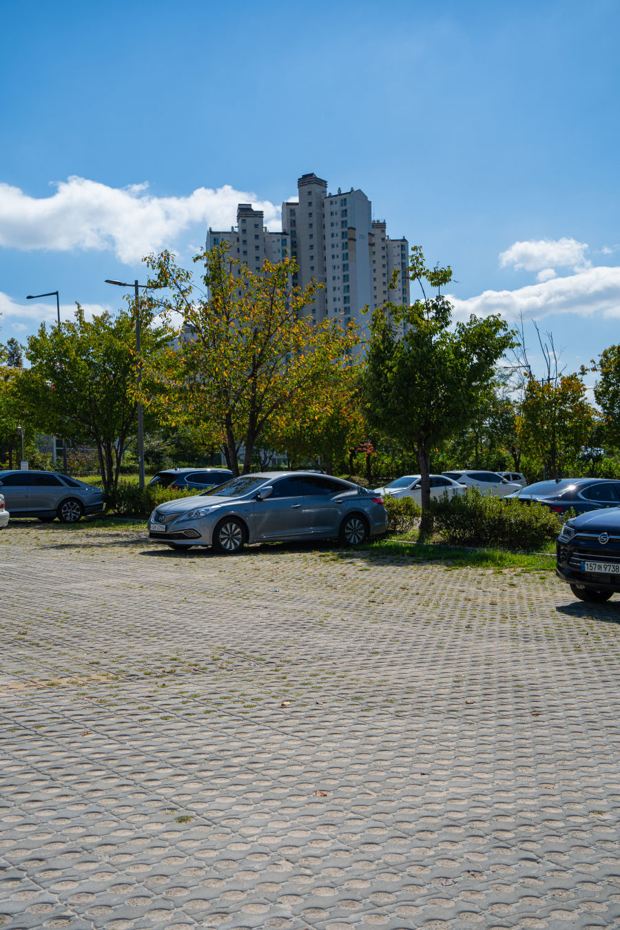 광교 푸른숲 도서관