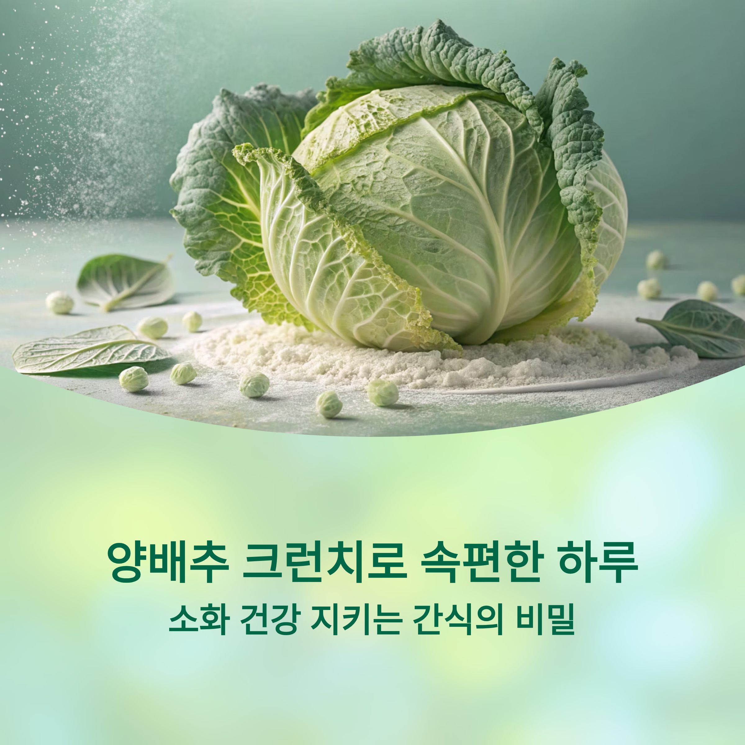 양배추 크런치로 속편한 하루, 소화 건강 지키는 간식의 비밀